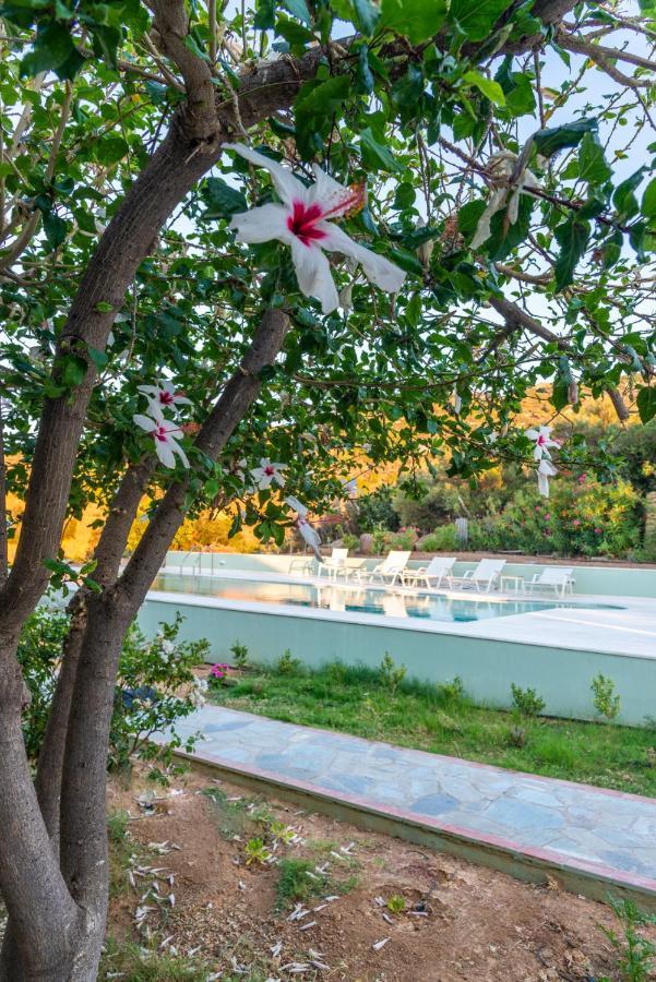 New - Villa Manika - 3Br 3Ba Pool Αγία Φωτιά Εξωτερικό φωτογραφία